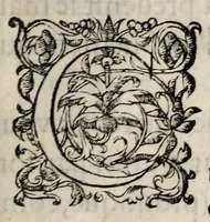 An illustration from Edict et declaration faicte par le Roy Charles IX. de ce nom sur la pacification des troubles de ce royaume: le XIX iour de Mars, mil cinq cens soixante deux. (1563)