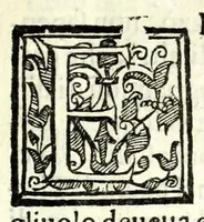 An illustration from Edipo tiranno di Sofocle : tragedia (1585)