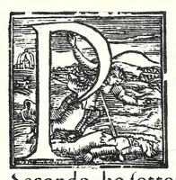 Picture 7 of 7 from Edippo : tragedia (1565), leaf 116