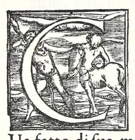 Picture 6 of 7 from Edippo : tragedia (1565), leaf 92