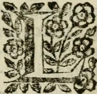 An illustration from Editto del re' christianissimo Luigi XIV contro gli duelli e rincontri (1672)