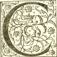 Picture 6 of 11 from Edoardi VVottoni Oxoniensis De differentiis animalium libri decem ... (1552), leaf 117