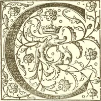 Picture 10 of 11 from Edoardi VVottoni Oxoniensis De differentiis animalium libri decem ... (1552), leaf 375