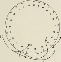 Picture 30 of 71 from Physical education complete for schools and playgrounds (1917), leaf 144