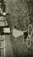 Picture 40 of 71 from Physical education complete for schools and playgrounds (1917), leaf 179