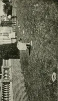 Picture 41 of 71 from Physical education complete for schools and playgrounds (1917), leaf 181