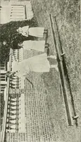 Picture 43 of 71 from Physical education complete for schools and playgrounds (1917), leaf 185