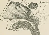 Picture 71 of 71 from Physical education complete for schools and playgrounds (1917), leaf 286