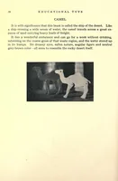 Picture 3 of 10 from Educational toys consisting chiefly of coping-saw problems for children in the school and the home (1920), leaf 40
