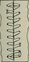 An illustration from Educational woodworking for home and school (1908)