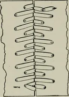 An illustration from Educational woodworking for home and school (1908)