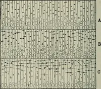 An illustration from Educational woodworking for home and school (1908)