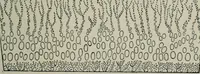 An illustration from Educational woodworking for home and school (1908)