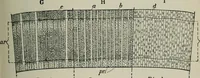 An illustration from Educational woodworking for home and school (1908)