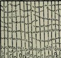 An illustration from Educational woodworking for home and school (1908)
