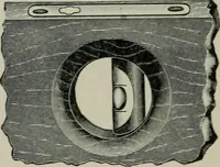 An illustration from Educational woodworking for home and school (1908)