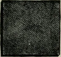 An illustration from Educational woodworking for home and school (1908)