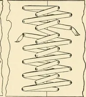 An illustration from Educational woodworking for home and school (1908)