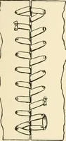 An illustration from Educational woodworking for home and school (1908)