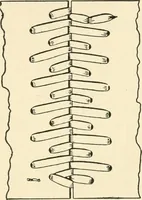 An illustration from Educational woodworking for home and school (1908)