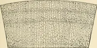 An illustration from Educational woodworking for home and school (1908)