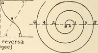 An illustration from Educational woodworking for home and school (1908)