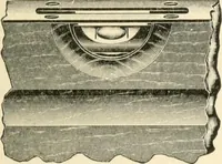 An illustration from Educational woodworking for home and school (1908)