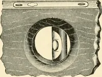 An illustration from Educational woodworking for home and school (1908)