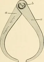 An illustration from Educational woodworking for home and school (1908)