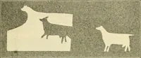 Picture 49 of 109 from Education by plays and games (1907), leaf 111