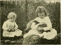 Picture 62 of 109 from Education by plays and games (1907), leaf 131