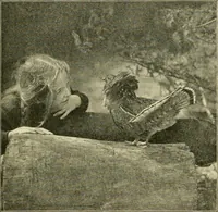 Picture 64 of 109 from Education by plays and games (1907), leaf 137