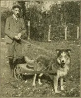 Picture 67 of 109 from Education by plays and games (1907), leaf 144