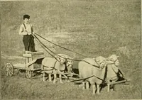 Picture 69 of 109 from Education by plays and games (1907), leaf 148