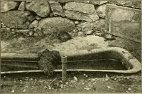 Picture 70 of 109 from Education by plays and games (1907), leaf 149