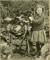 Picture 75 of 109 from Education by plays and games (1907), leaf 161