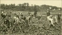 Picture 79 of 109 from Education by plays and games (1907), leaf 165