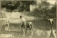 Picture 97 of 109 from Education by plays and games (1907), leaf 213