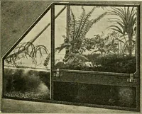 Picture 26 of 109 from Education by plays and games (1907), leaf 71