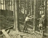 Picture 31 of 109 from Education by plays and games (1907), leaf 83
