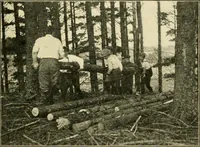 Picture 32 of 109 from Education by plays and games (1907), leaf 85