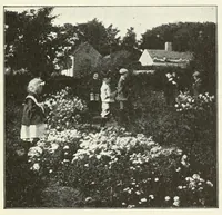 An illustration from Education by plays and games (1907)