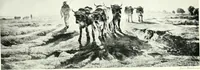 An illustration from The education of an artist (1906)