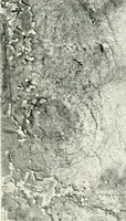 An illustration from The education of an artist (1906)