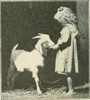 Picture 46 of 109 from Education by plays and games (1907), leaf 106