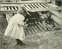 Picture 63 of 109 from Education by plays and games (1907), leaf 132