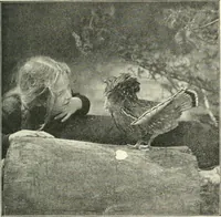 Picture 67 of 109 from Education by plays and games (1907), leaf 139