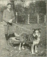 Picture 70 of 109 from Education by plays and games (1907), leaf 146