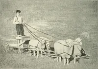 Picture 72 of 109 from Education by plays and games (1907), leaf 150