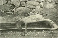Picture 73 of 109 from Education by plays and games (1907), leaf 151